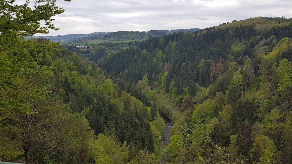 20190503_155737.thumb.jpg.d182c9a54d53f836a4a6bcb030e6997f.jpg