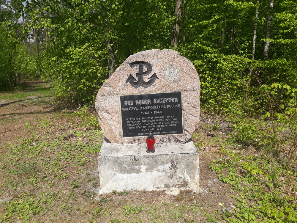 20190511_113058.thumb.jpg.f28d6e346979d36fea7c7f185d07d6b6.jpg