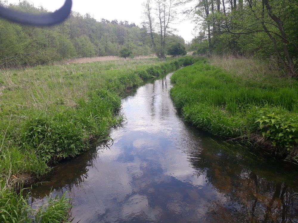 20190511_115053.thumb.jpg.f8b700ff1445ad58b180360a93bc2106.jpg