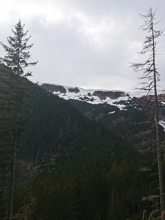 DSC_1976.JPG