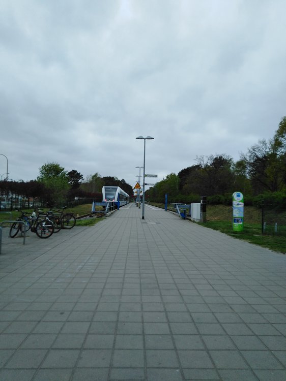 IMG_20190502_151715.jpg