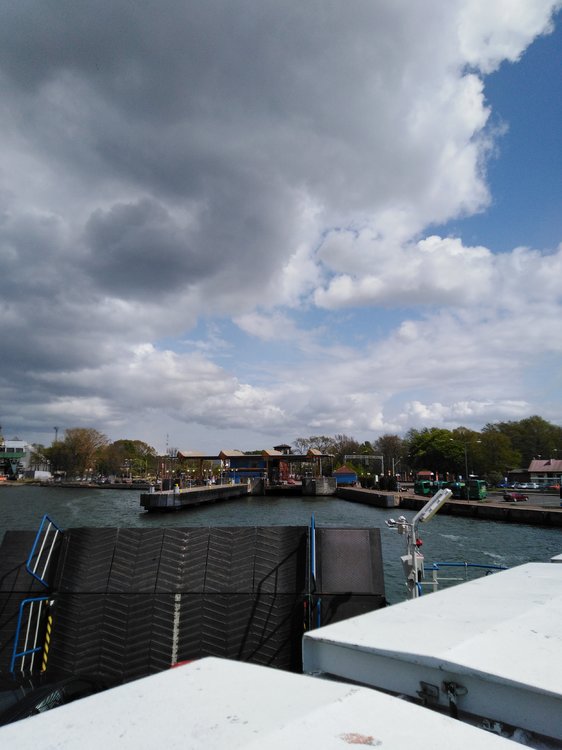 IMG_20190503_142640.jpg