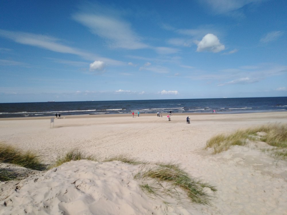 IMG_20190503_155249.jpg