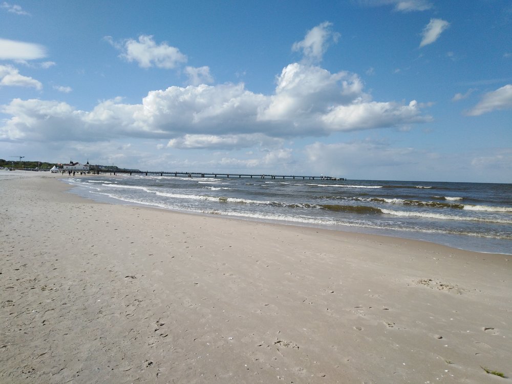 IMG_20190503_162902.jpg