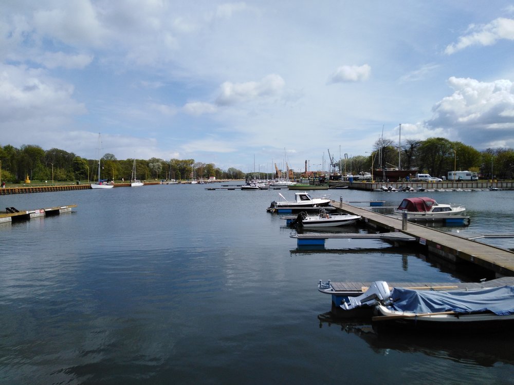 IMG_20190504_113504.jpg