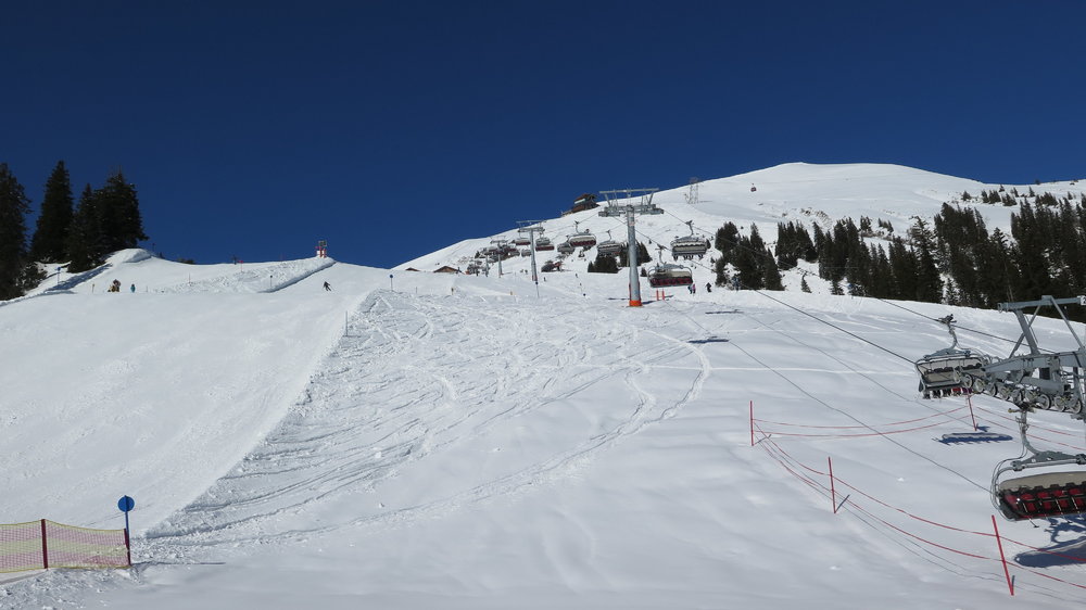 IMG_6697.JPG