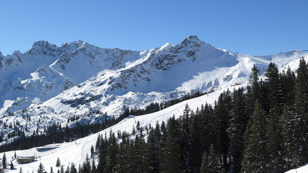 IMG_6704.JPG