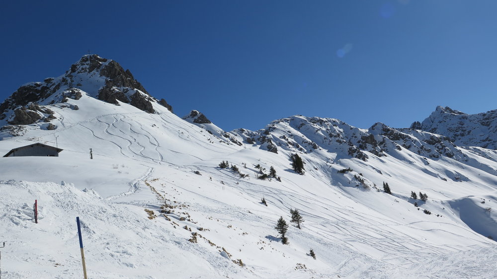 IMG_6758.JPG