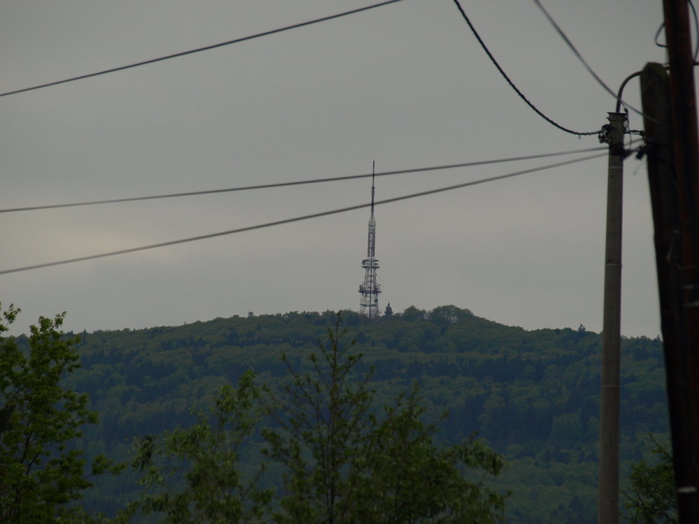 P5115940.thumb.JPG.b75dfecfb85c1d147253ffc340ff56d5.JPG