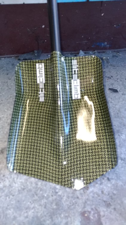 P_20190508_085231_vHDR_On.jpg