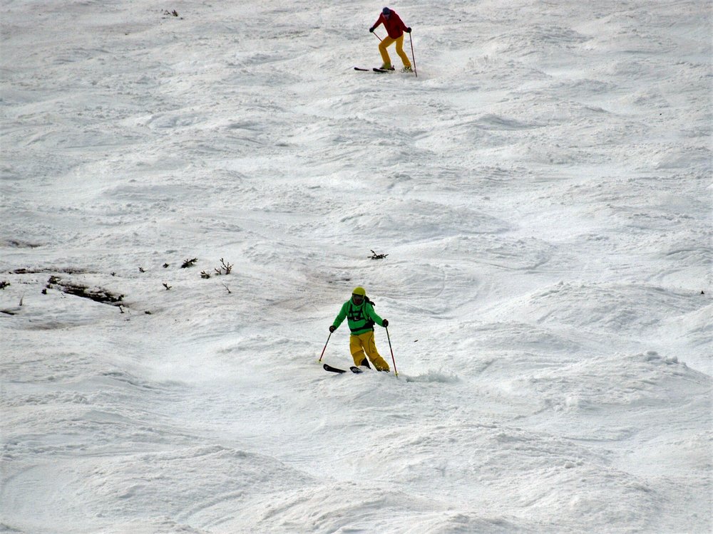 _5195999.thumb.JPG.fe7dceaa2703ba1690fe1a41f871ec8d.JPG