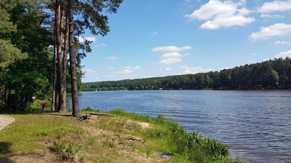 20190609_112310.thumb.jpg.d29376b922bdd423fb21e8d5bf1e96c7.jpg