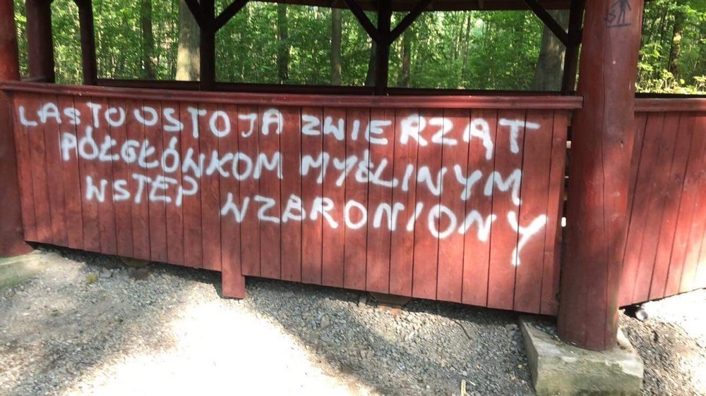 813D69DC-1336-4472-977E-F8FD2691BA06.jpeg