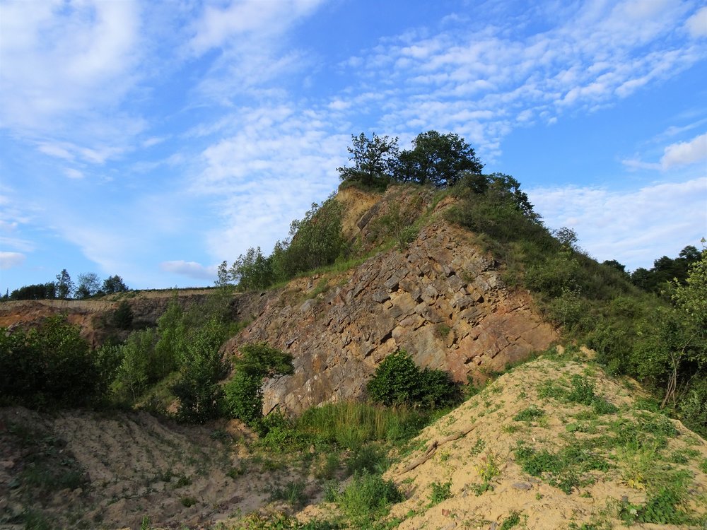 DSC09477.thumb.JPG.ef63c02f982b20ac77019d7c79da9773.JPG