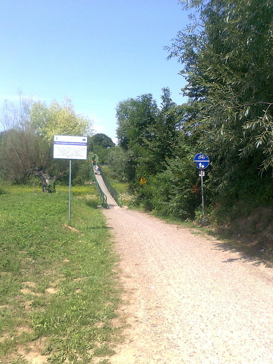 zdjęcie0323.jpg