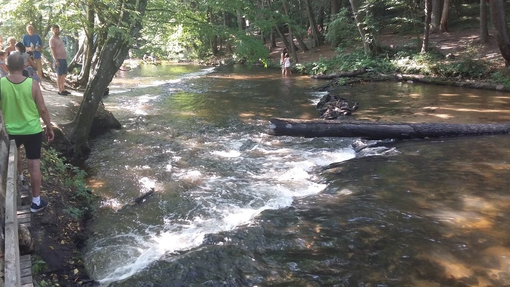 20190728_162427.jpg