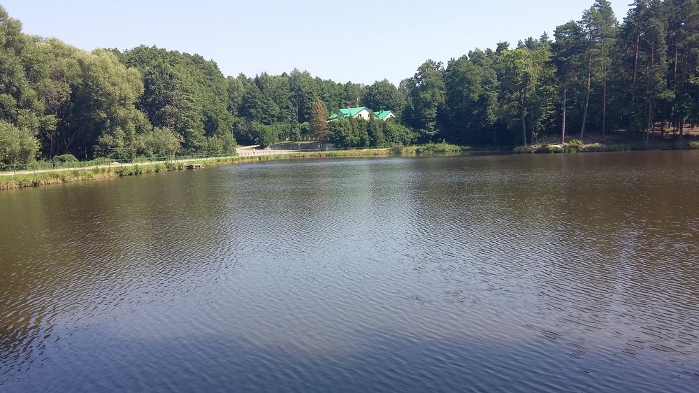 20190729_105416.jpg