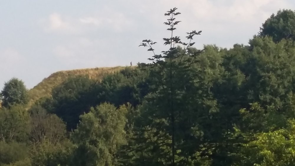 20190730_164351.jpg