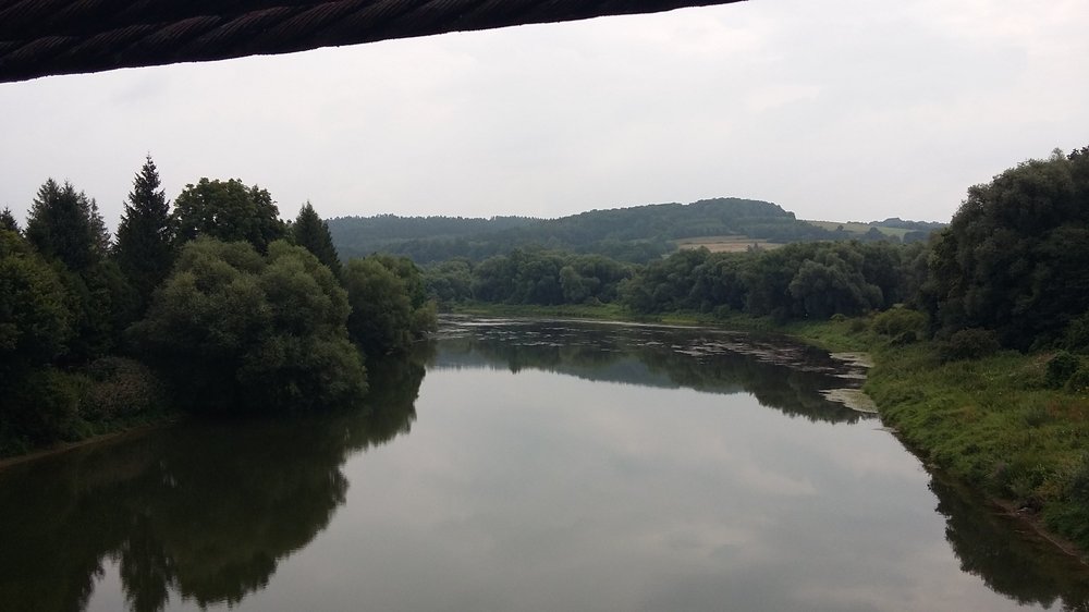 20190731_101659.jpg