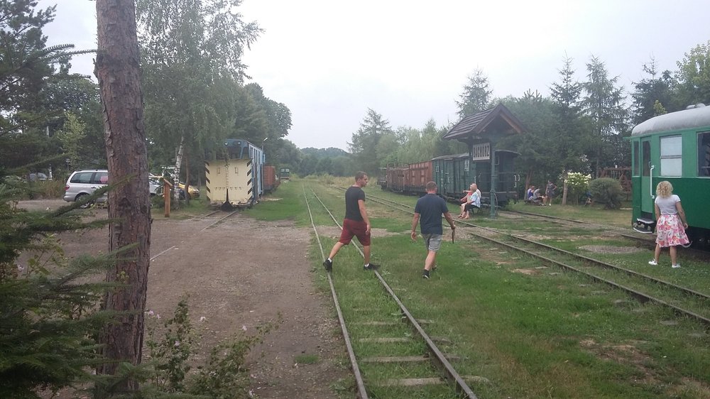 20190731_174708.jpg