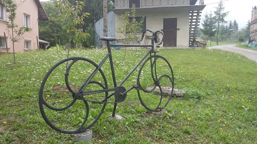 20190801_093714.jpg