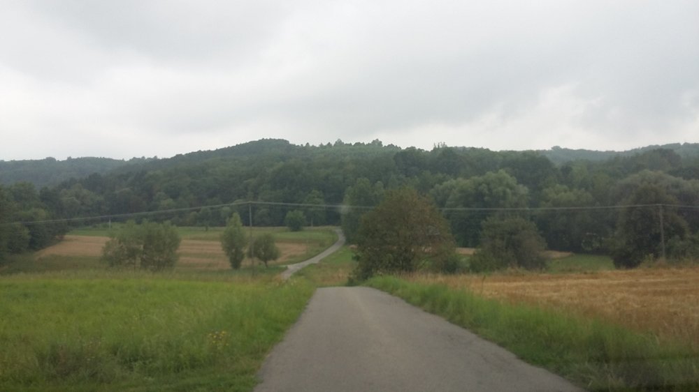 20190801_094048.jpg