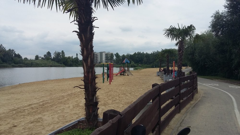 20190801_121434.jpg