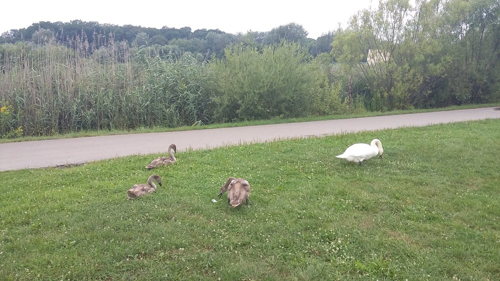 20190801_122051.jpg
