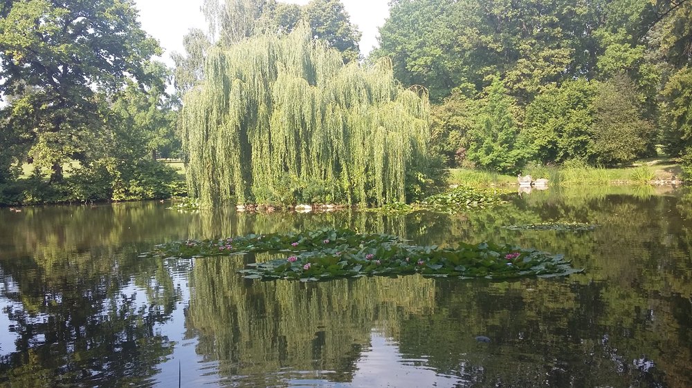 20190802_091342.jpg
