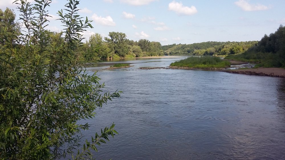 20190803_092916.jpg