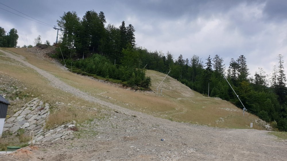 20190803_162118.jpg