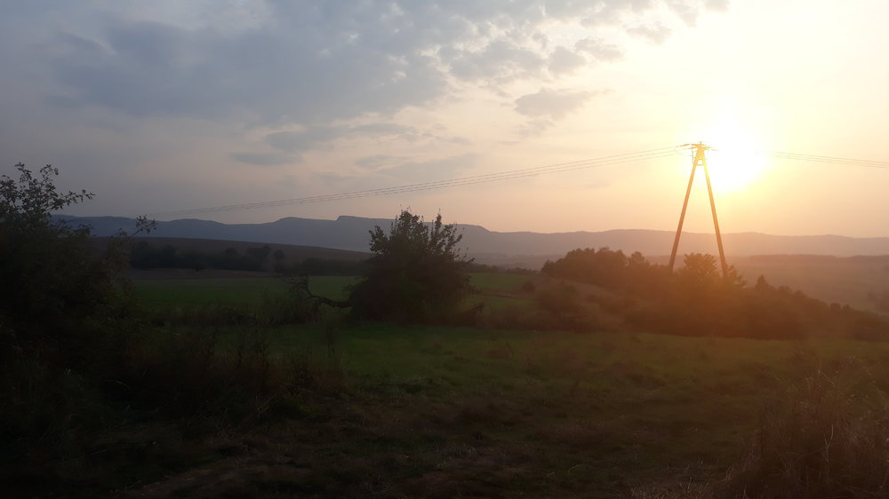 20190824_191400.thumb.jpg.7f1163f1b6dd0950c4715d734ac9b3f5.jpg