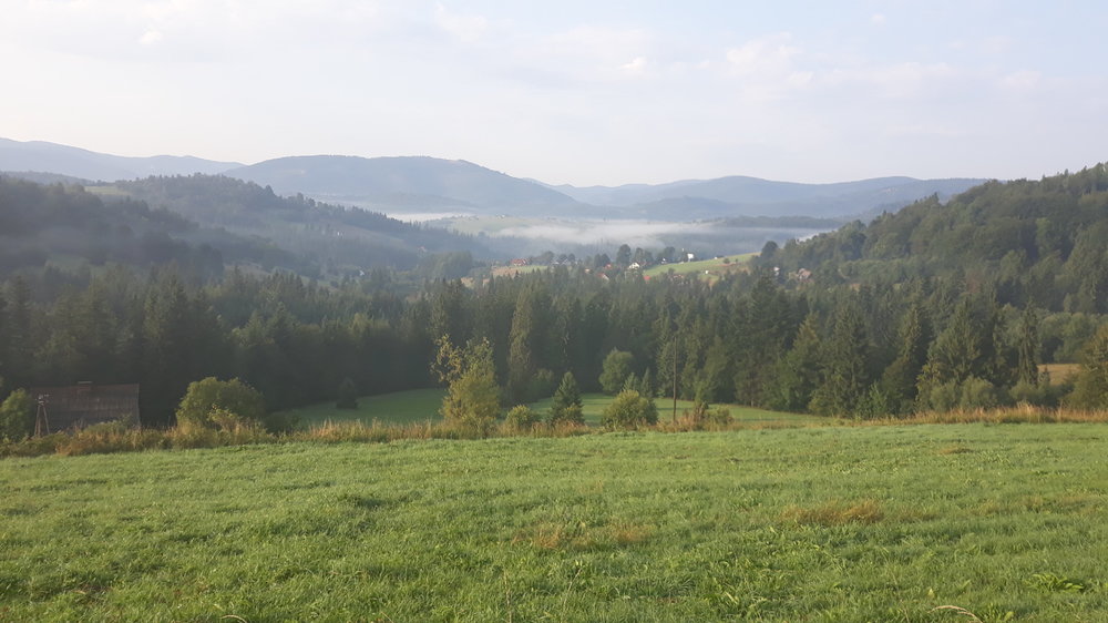 20190826_073129.thumb.jpg.beb47a59ab17b12fb2dbc76499f0aeeb.jpg