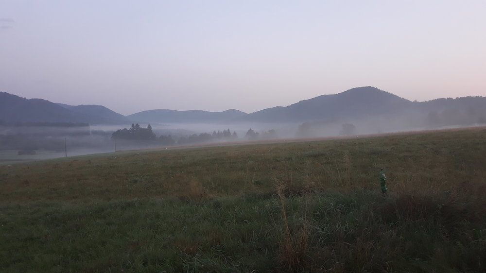 20190827_054728.thumb.jpg.c30f362f2659476823b0454f257fb98d.jpg