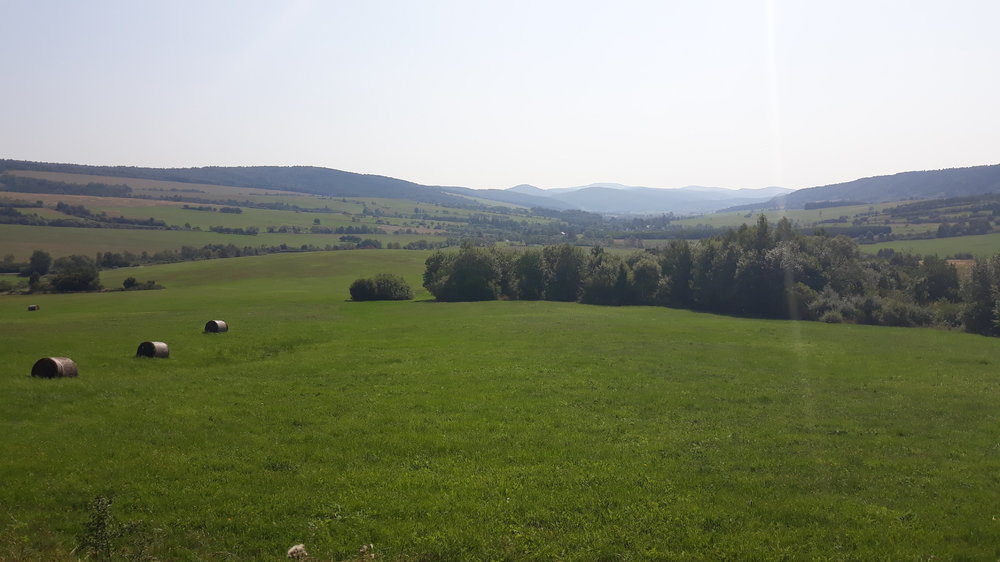 20190827_105723.thumb.jpg.6cbc390e5699ca345500dd1a1404ad8a.jpg
