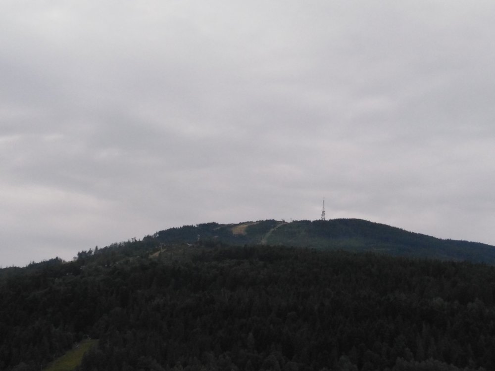 IMG_20190816_101856.jpg