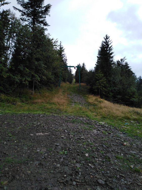 IMG_20190816_124246.jpg