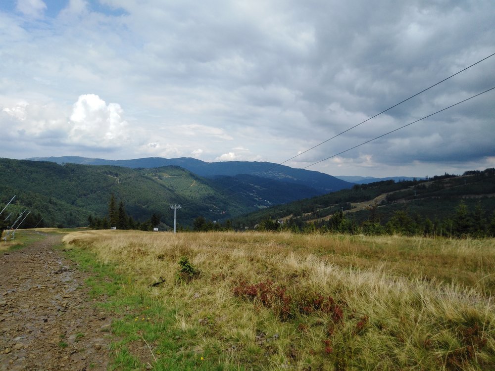 IMG_20190816_125300.jpg