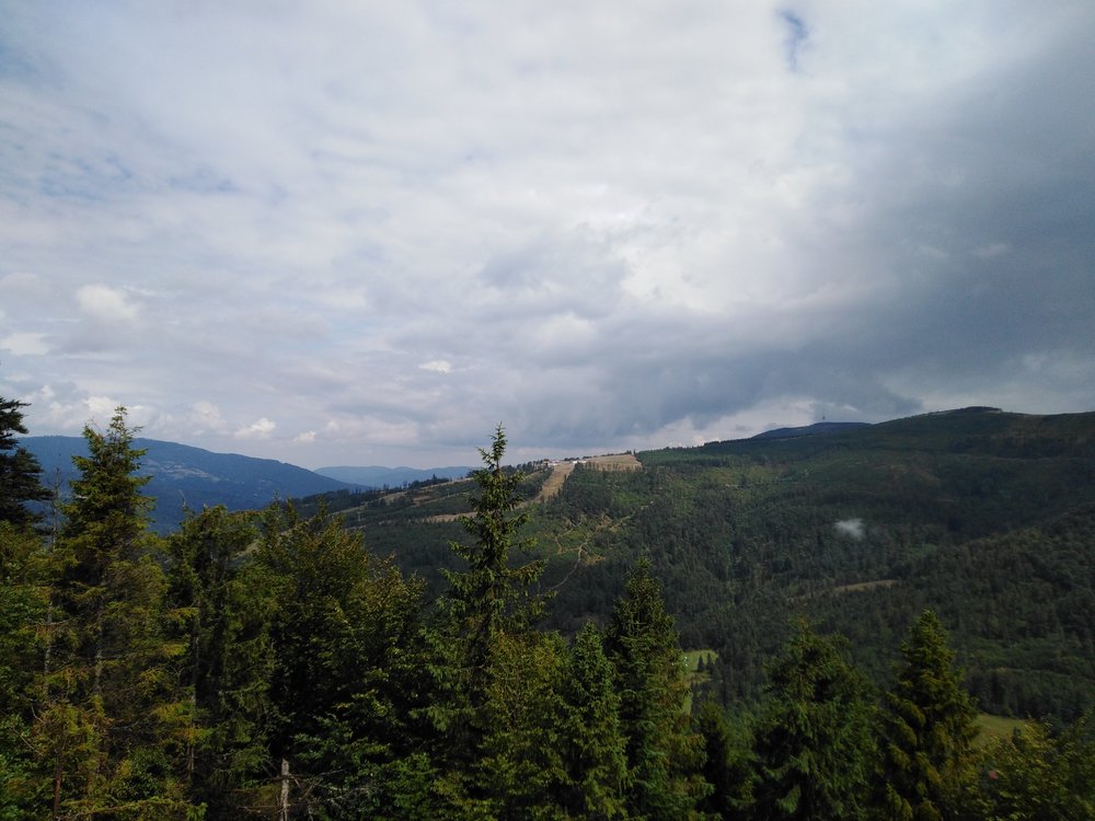 IMG_20190816_130517.jpg