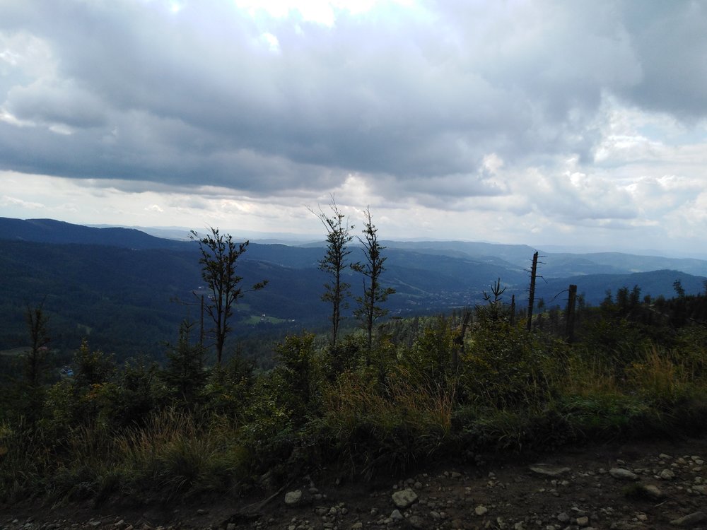 IMG_20190816_134818.jpg