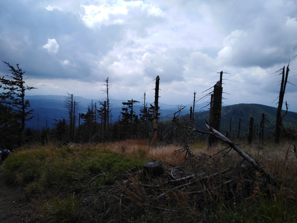 IMG_20190816_141853.jpg
