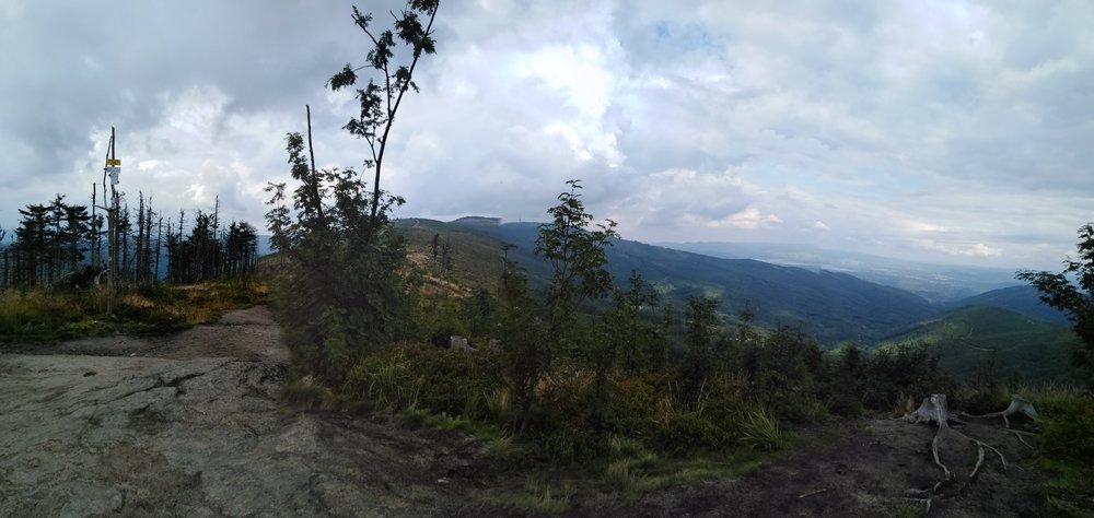 IMG_20190816_142546.jpg