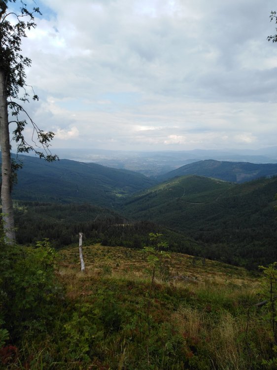 IMG_20190816_142816.jpg