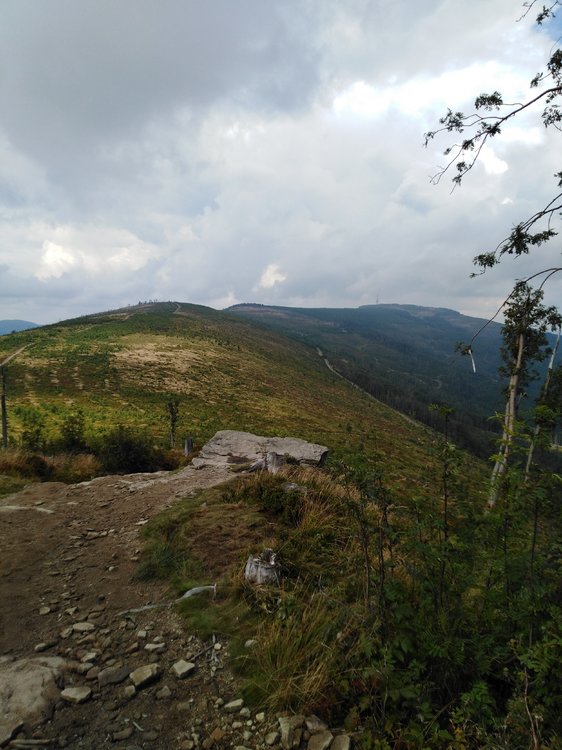 IMG_20190816_142819.jpg