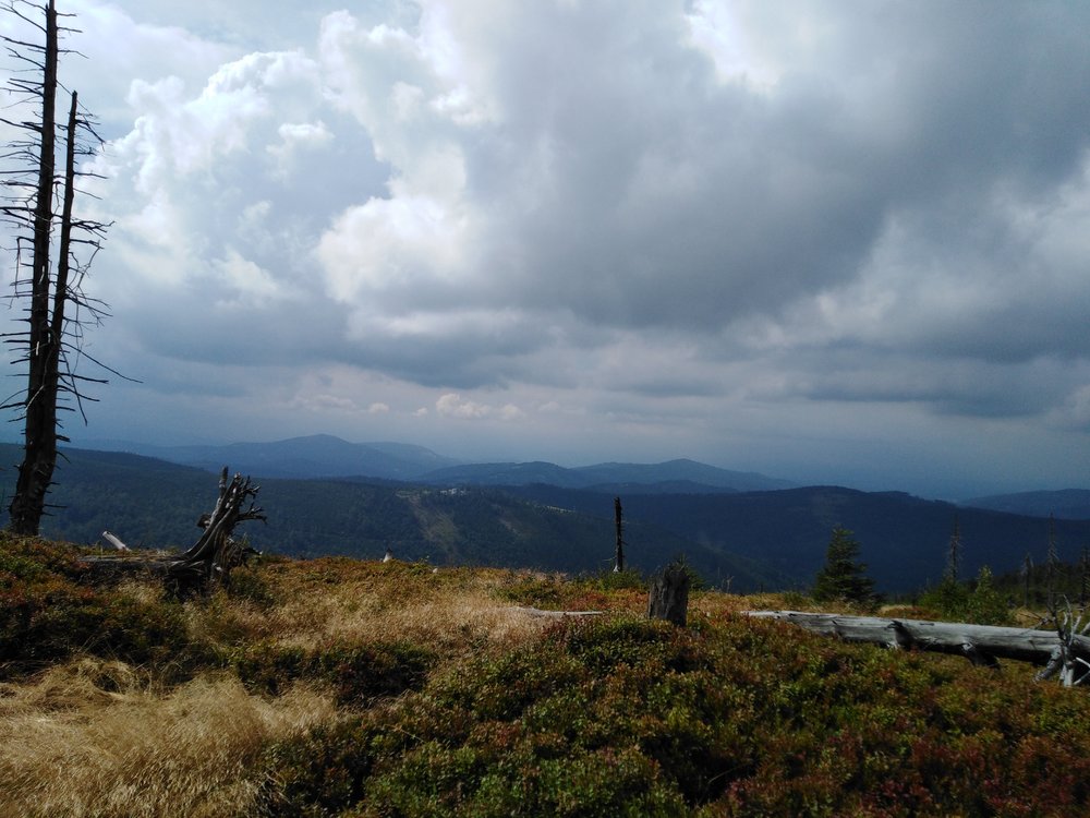 IMG_20190816_144514.jpg