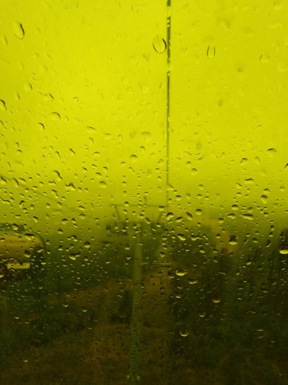 IMG_20190816_162226.jpg