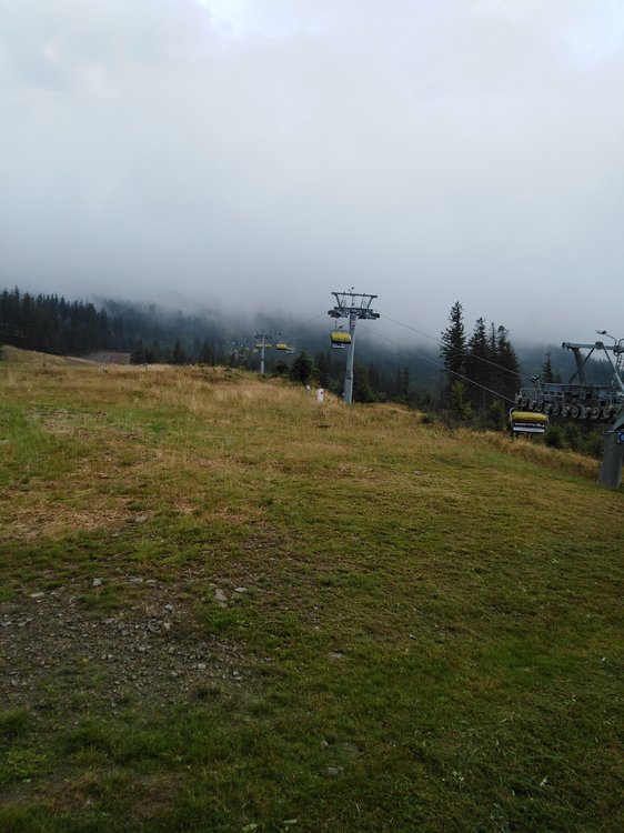 IMG_20190816_162615.jpg