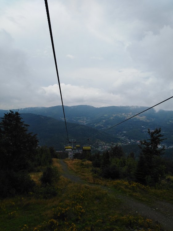 IMG_20190816_162826.jpg