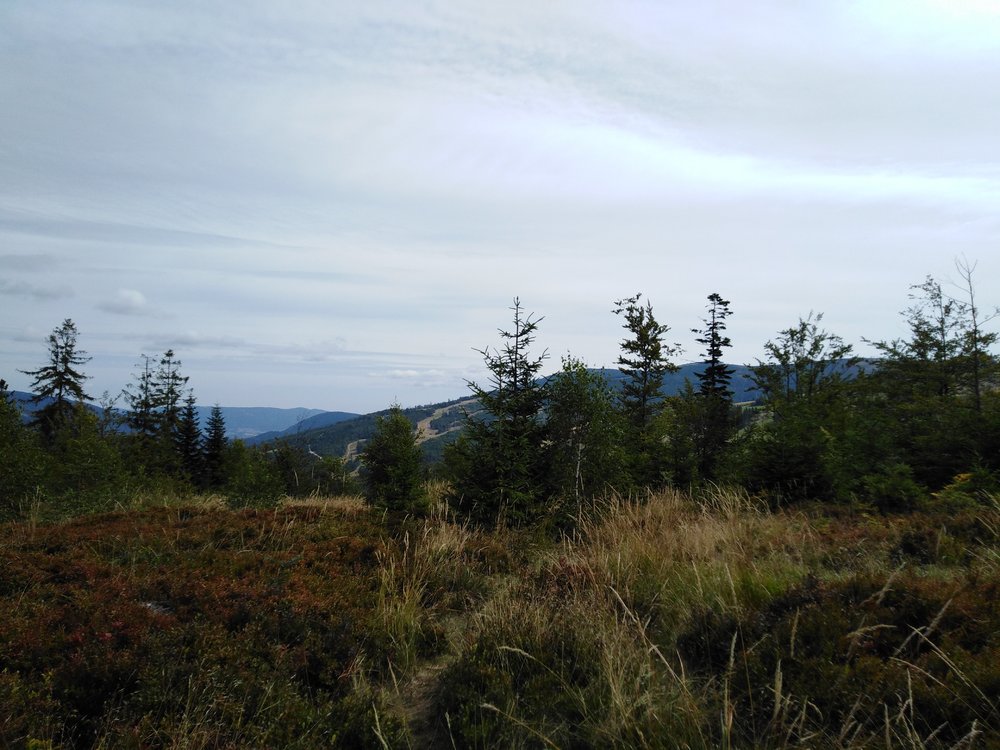 IMG_20190818_105604.jpg