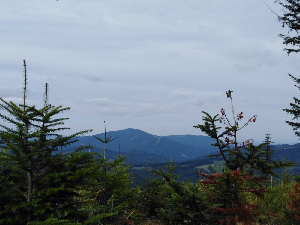 IMG_20190818_110307.jpg